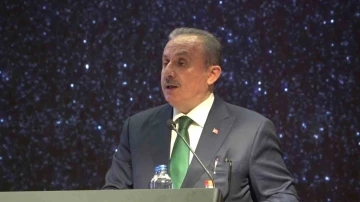 Mustafa Şentop: "İsrail s&ouml;z konusu olduğunda hukuk, adalet ve uluslararası kuruluşlar anlamsız hale gelmektedir"
