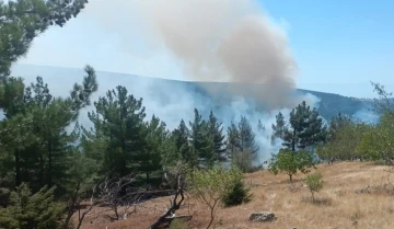 Mut&rsquo;ta orman yangını b&uuml;y&uuml;meden s&ouml;nd&uuml;r&uuml;ld&uuml;
