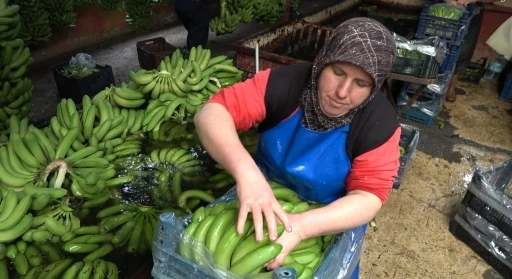 Muz fiyatları &uuml;reticinin y&uuml;z&uuml;n&uuml; g&uuml;ld&uuml;r&uuml;yor

