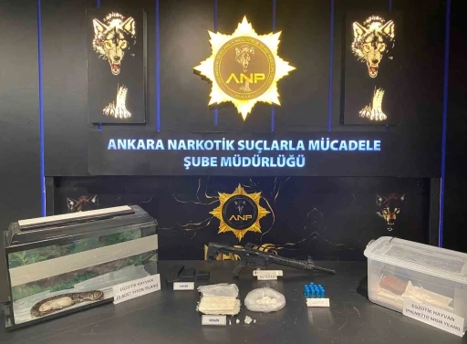 Narkog&uuml;&ccedil; operasyonları kapsamında 1 kişi yakalandı
