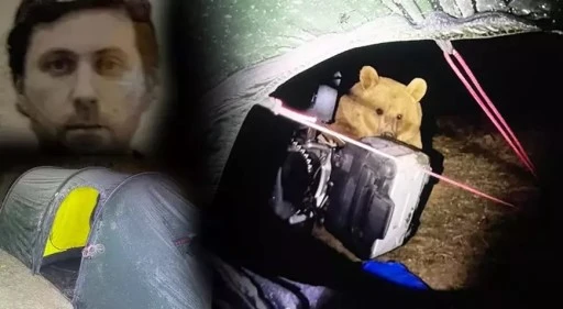 Nemrut Kalderası&rsquo;nda kamp yapan İngiliz turist ayı saldırısına uğradı