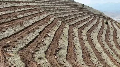 Niğde&rsquo;nin Himmetli K&ouml;y&uuml;&rsquo;nde 100 hektarlık alanda ağa&ccedil;landırma yapılacak
