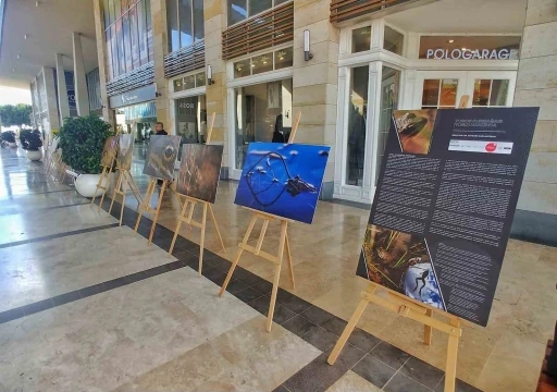 Niğde&rsquo;nin Toros Kurbağası&rsquo;nın su altı fotoğrafları Mersin&rsquo;de sergilendi
