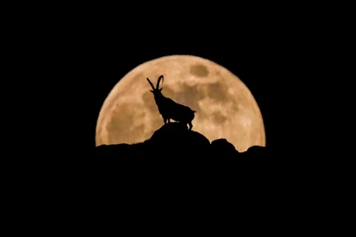 Niğdeli fotoğraf sanat&ccedil;ısı Aladağlar&rsquo;daki eşsiz anı b&ouml;yle kadrajına aldı
