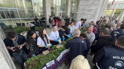 Nil&uuml;fer Belediyesi 120 bin fideyi &uuml;cretsiz olarak vatandaşlara dağıttı