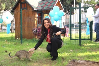 Nil&uuml;fer Belediyesi ve YASAV'dan sokak kedilerine &ouml;zel b&ouml;lge