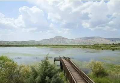 &lsquo;Nil&uuml;fer Cenneti&rsquo; olarak bilinen o g&ouml;l sportif olta balık&ccedil;ılığına a&ccedil;ıldı