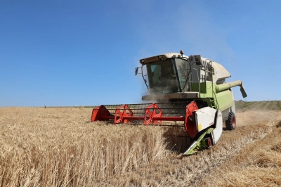 Nil&uuml;fer&rsquo;de Buğday Hasadı Başladı