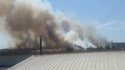 Nil&uuml;fer'de bulunan ormanlık alanda yangın