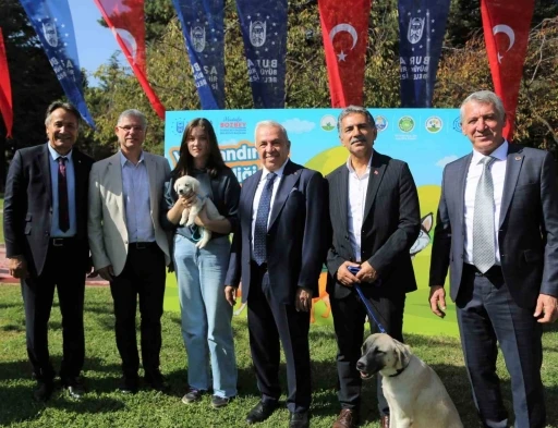 Nil&uuml;fer&rsquo;de can dostlar yeni yuvalarına kavuşuyor
