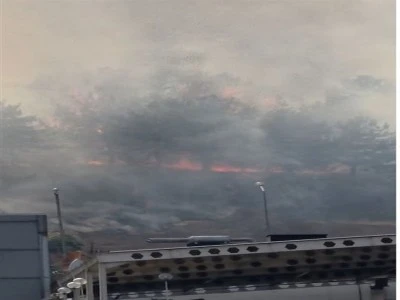 ODT&Uuml; Ormanı'nda yangın