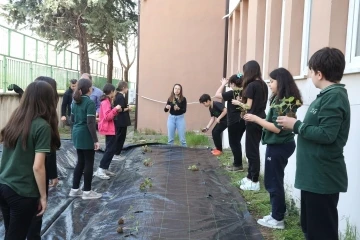 &Ouml;ğrenciler, &ccedil;ilek ve marul dikerek tarımla tanıştı
