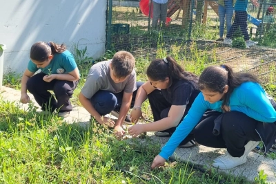 &Ouml;ğrenciler Kendi Bitkilerini Yetiştirecek