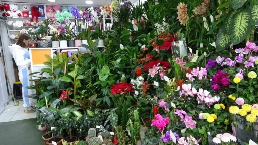 &Ouml;ğretmenler G&uuml;n&uuml; i&ccedil;in &ccedil;i&ccedil;ek&ccedil;ilerde yoğun mesai
