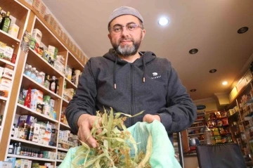 &Ouml;ks&uuml;r&uuml;k, grip, boğaz ağrısı gibi şikayeti olanlar soluğu aktarda alıyor
