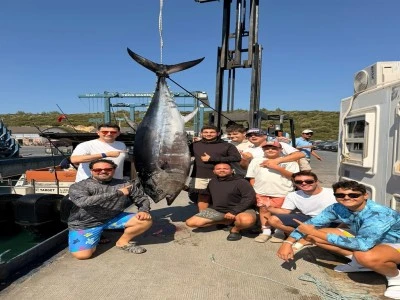 Oltayla 260 kilogram ağırlığında orkinos yakaladı