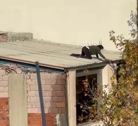 Olukları temizleyen kadın y&uuml;rekleri ağza getirdi
