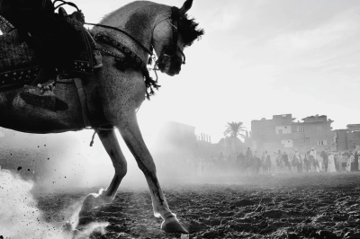 Oppo 2025 Fotoğraf&ccedil;ılık &Ouml;d&uuml;lleri Sonu&ccedil;landı