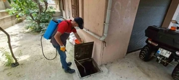 Ordu B&uuml;y&uuml;kşehir, sivrisineklere karşı m&uuml;cadele i&ccedil;in sahada
