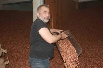 Ordu&rsquo;da serbest piyasada fındık 105 liraya ulaştı
