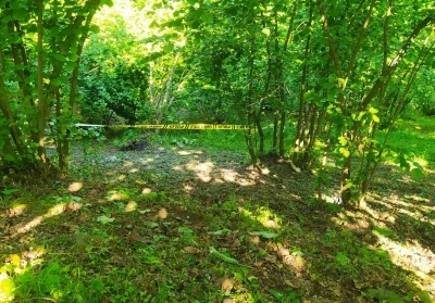 Yaşlı adam, fındık bah&ccedil;esinde &ouml;l&uuml; bulundu