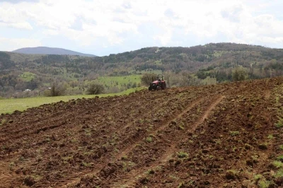 Ordu&rsquo;nun atıl arazileri bereketleniyor: 34 bin 800 dekar atıl arazi tarıma kazandırıldı
