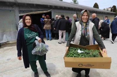 Ordulu &uuml;reticilere 380 bin fidenin dağıtımına başladı

