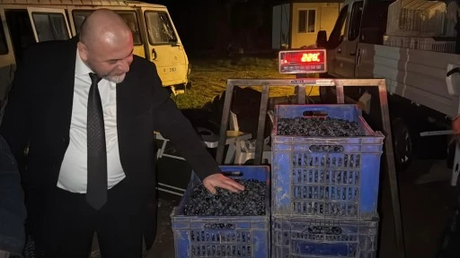 Orhangazi Belediyesi'nin &uuml;rettiği zeytin ve zeytinyağı markası t&uuml;keticilerin beğenisine sunuldu 