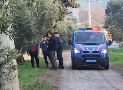 Orhangazi'de 500 kilo zeytini dalından &ccedil;aldılar