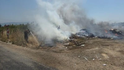 Orhangazi'de otluk alanda yangın