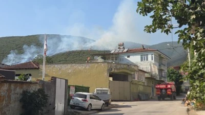 Orhangazi'deki orman yangını kontrol altına alındı