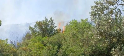 Orhangazi'deki yangına havadan ve karadan m&uuml;dahale ediliyor