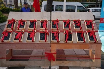 Orhangazi Zeytin Festivali i&ccedil;in hazırlıklar tamamlandı 