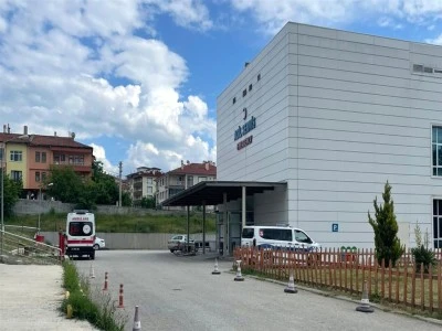 Orman iş&ccedil;isi, arı sokması sonucu &ouml;ld&uuml;