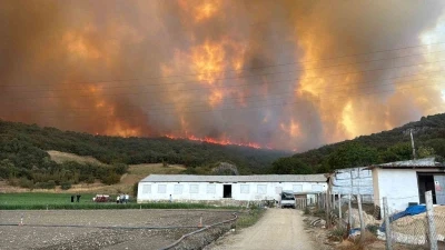 Orman yangınındaki alevler, hayvan &ccedil;iftliklerine doğru ilerliyor