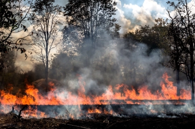 Orman Yangınları Solunum Sağlığını da Ciddi Tehdit Ediyor!