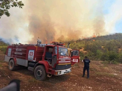 Orman yangınlarında var g&uuml;c&uuml;yle &ccedil;alışan itfaiyeciler hayvanlara da b&uuml;y&uuml;k şefkat g&ouml;steriyor