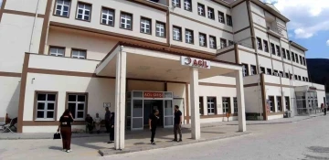 Ormanda g&ouml;rev yapan personele arılar saldırdı: Hastanelik oldular
