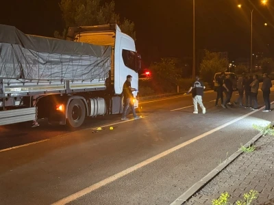 Ormanda iki grup arasında silahlı kavga: 1 yaralı 