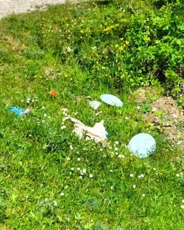 Ormanı &ccedil;&ouml;pl&uuml;ğe &ccedil;evirenlere k&ouml;yl&uuml;lerden tepki
