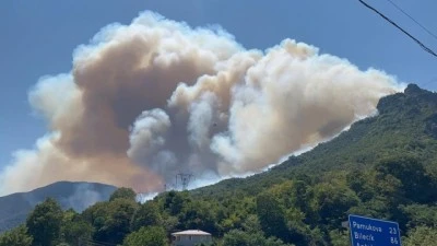 Ormanlarımız yanmaya devam ediyor!