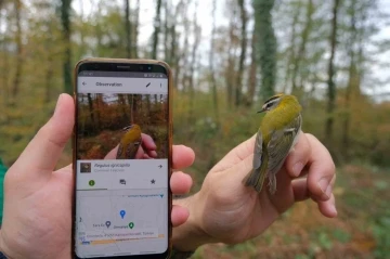 Ormaya&rsquo;da yeni canlı t&uuml;rleri keşfedildi
