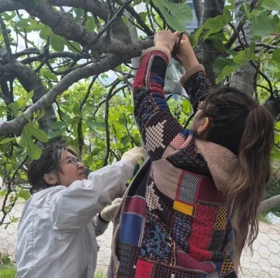 Ortaca&rsquo;da Kahverengi Kokarca&rsquo;ya karşı tuzaklı takip başladı
