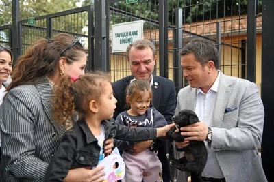 Osmangazi Belediyesi Hayvan Mezarlığı kapasitesi arttırıldı!