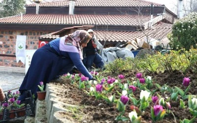 Osmangazi Belediyesi'nden peyzaj &ccedil;alışmaları