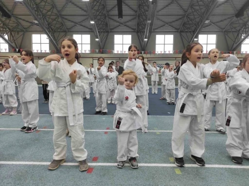 Osmangazi&rsquo;de karate eğitim semineri
