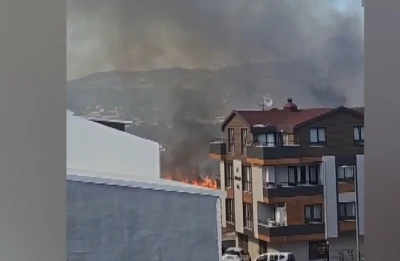 Osmangazi'deki &ccedil;amlık yangını yerleşim yerlerine sı&ccedil;ramadan s&ouml;nd&uuml;r&uuml;ld&uuml;