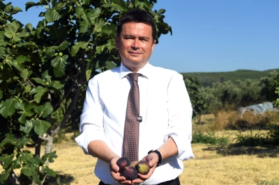 Osmangazi&rsquo;den D&uuml;nyaya A&ccedil;ılan Lezzet: Bursa Siyah İnciri