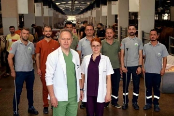 Osmangazi&rsquo;nin kurban yakalama timi g&ouml;reve hazır
