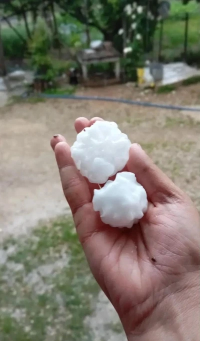 Osmaniye&rsquo;de ceviz b&uuml;y&uuml;kl&uuml;ğ&uuml;nde dolu yağdı
